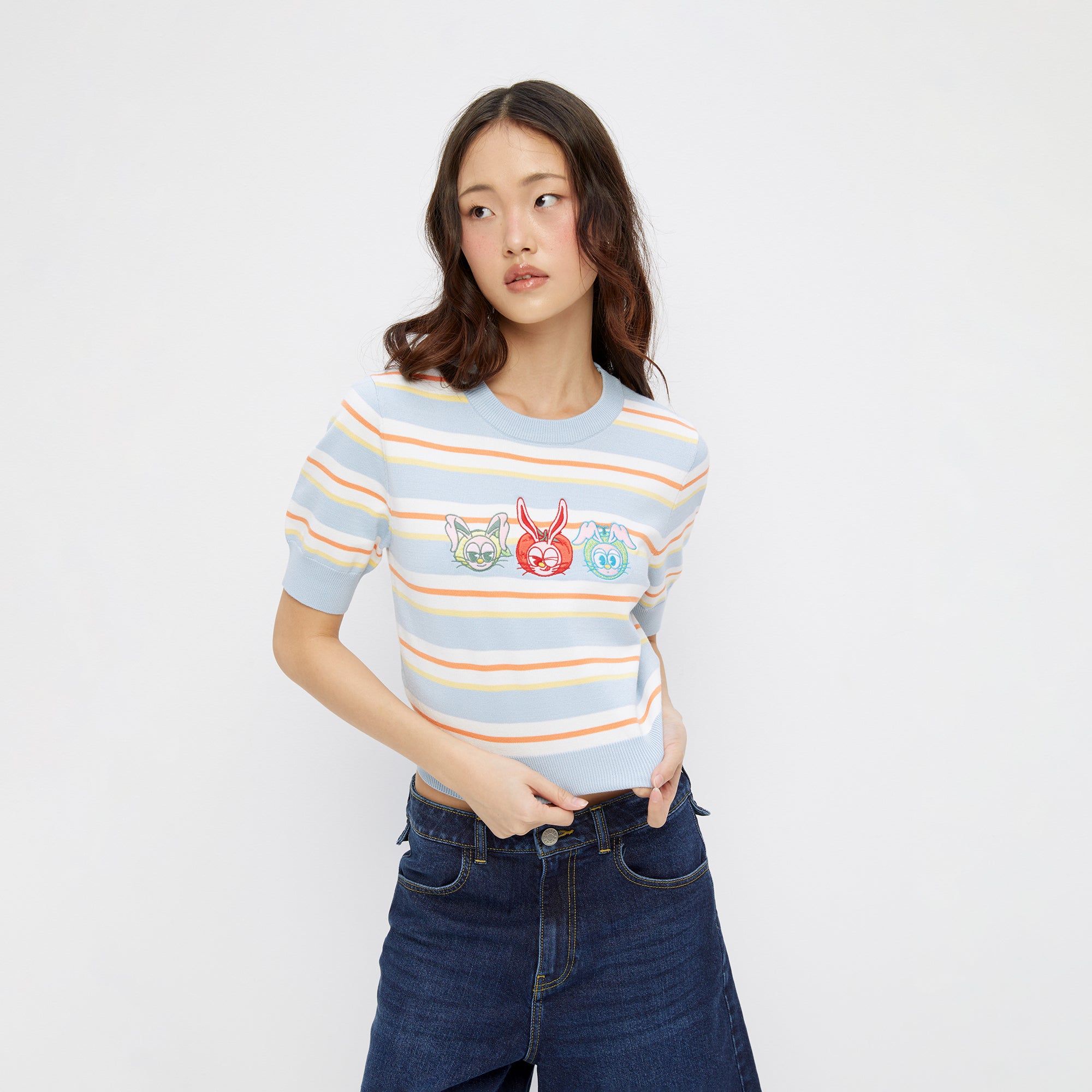 Embroidery Stripe Knit Top Multi Color