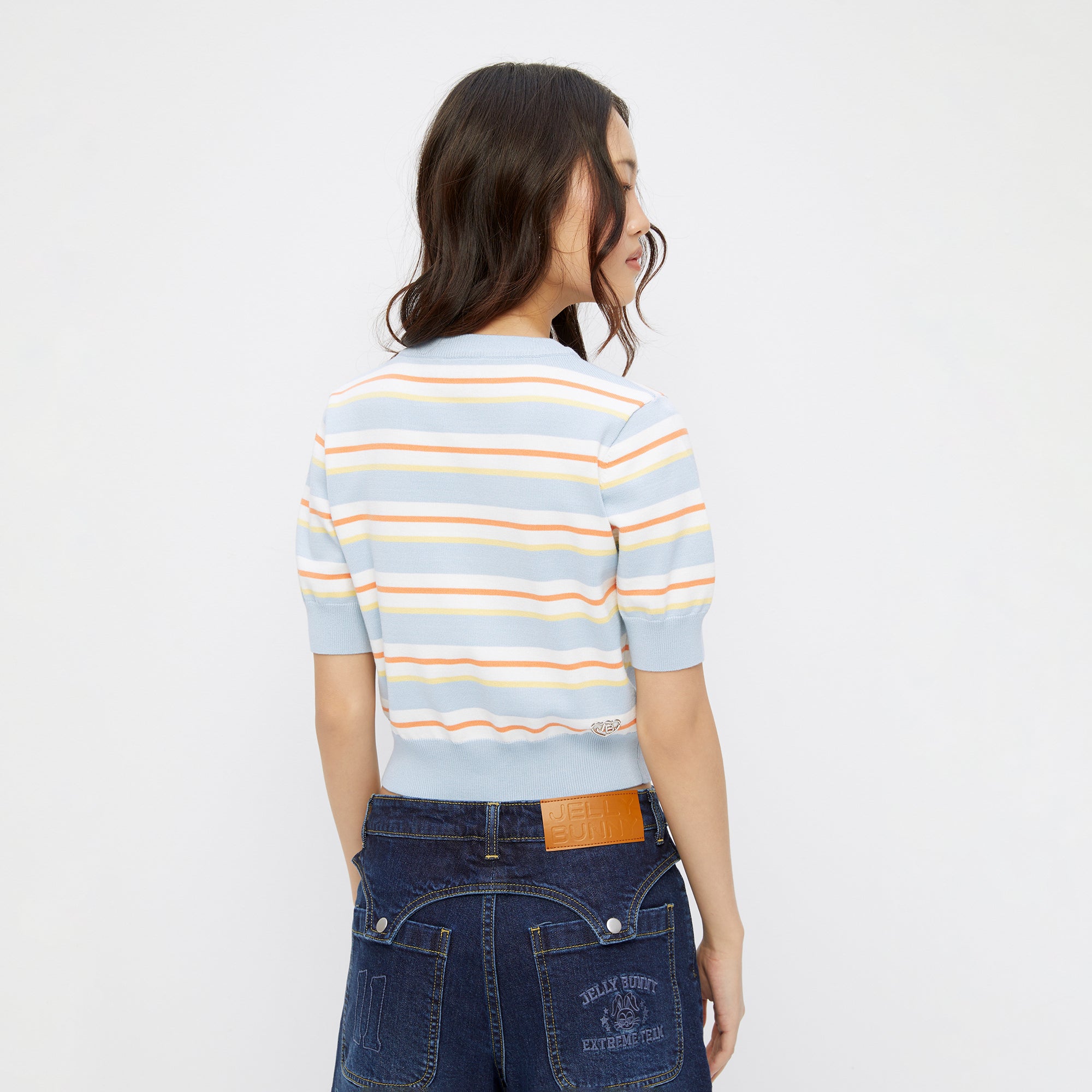 Embroidery Stripe Knit Top Multi Color