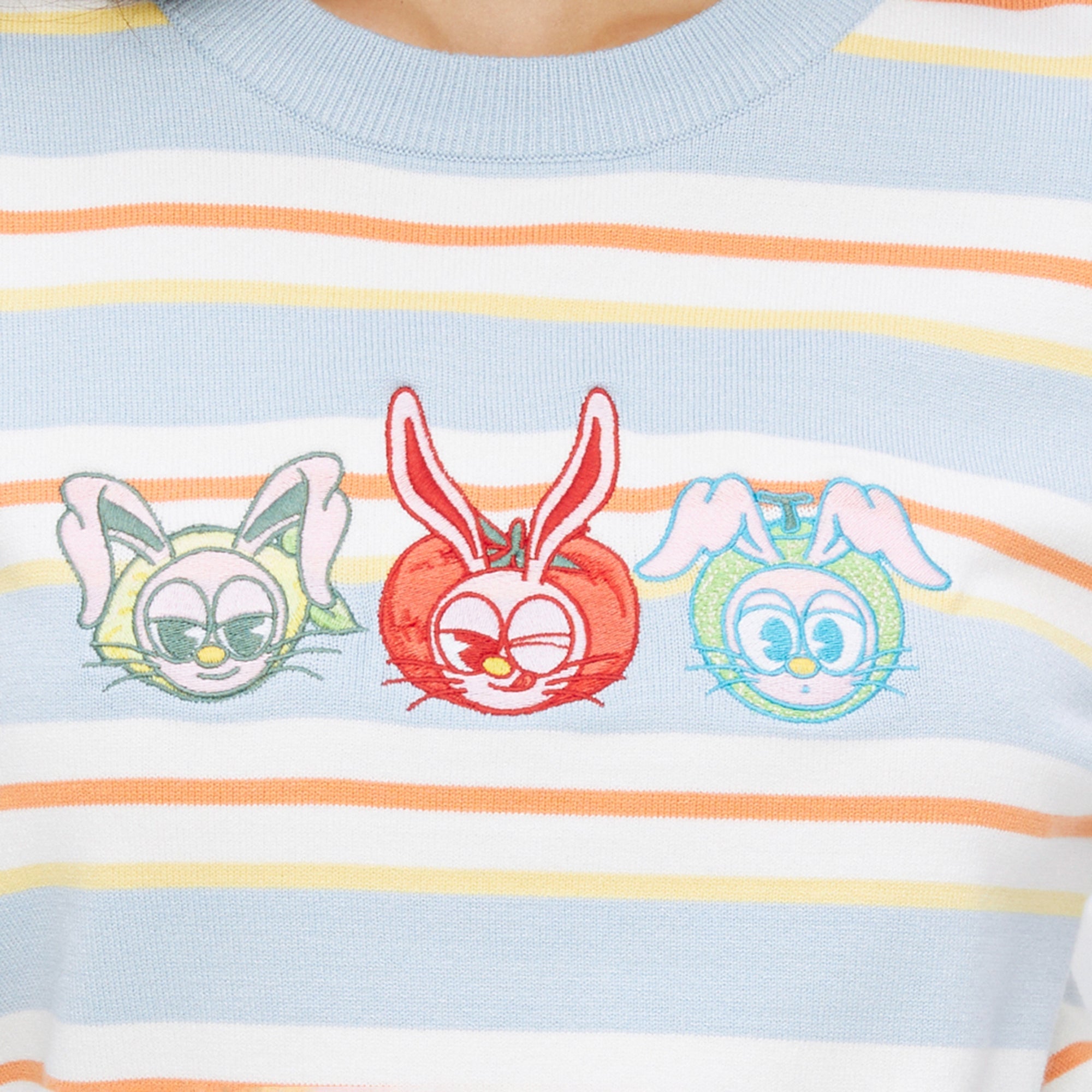 Embroidery Stripe Knit Top Multi Color